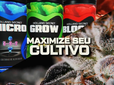 Brazil Trade Show Video